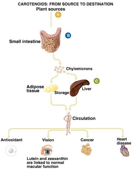 Ad:  va5.JPG
Gsterim: 3151
Boyut:  32.2 KB