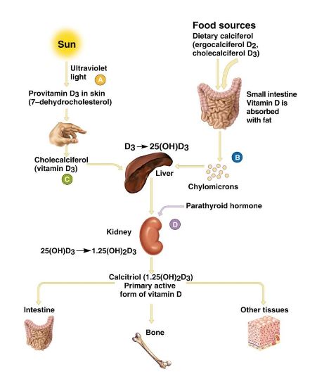 Ad:  vd2.JPG
Gsterim: 4098
Boyut:  35.5 KB