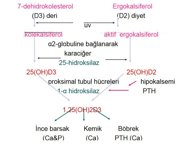 Ad:  vd7.JPG
Gsterim: 8965
Boyut:  53.2 KB