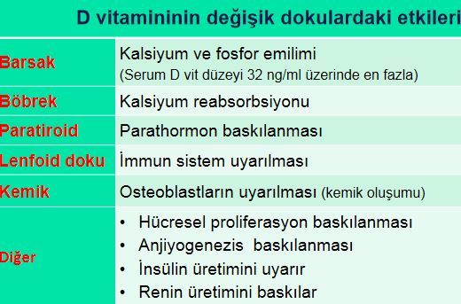 Ad:  vd10.JPG
Gsterim: 4188
Boyut:  51.9 KB