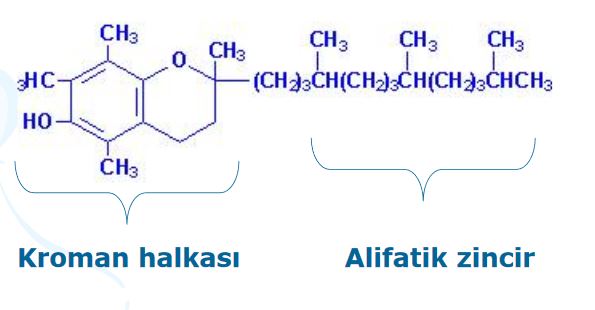 Ad: ve1.JPG
Gösterim: 2210
Boyut: 27.9 KB