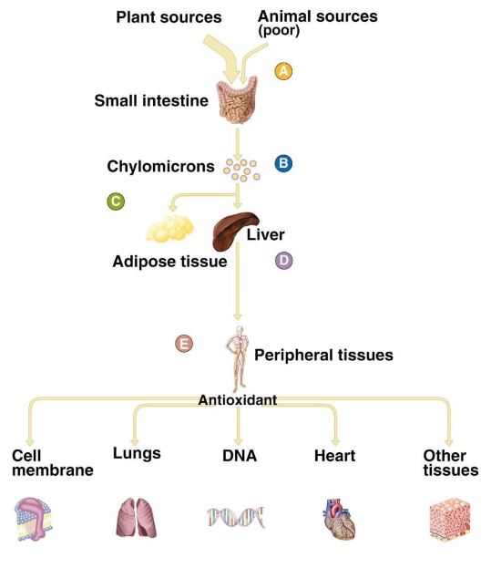 Ad: ve2.JPG
Gösterim: 2170
Boyut: 35.5 KB