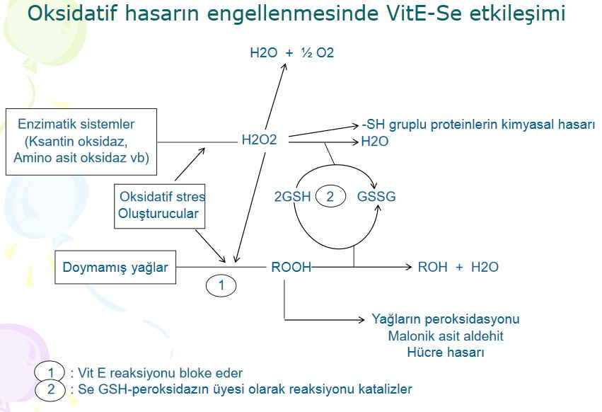 Ad: ve3.JPG
Gösterim: 2213
Boyut: 66.9 KB