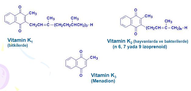 Ad: vk1.JPG
Gösterim: 2495
Boyut: 27.9 KB