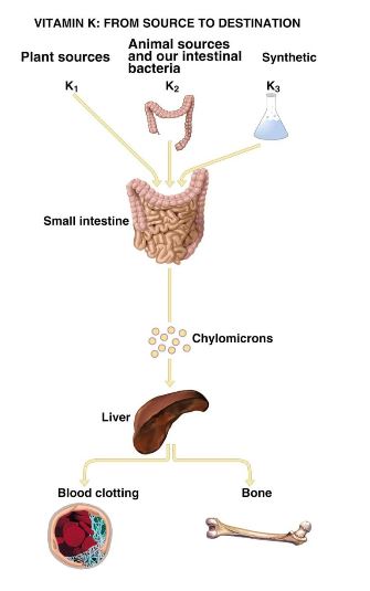 Ad: vk2.JPG
Gösterim: 2125
Boyut: 25.7 KB