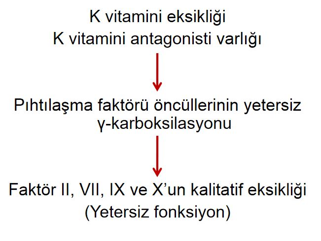 Ad: vk4.JPG
Gösterim: 3032
Boyut: 47.6 KB