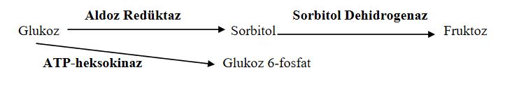 Ad: vc8.JPG
Gösterim: 1798
Boyut: 20.3 KB