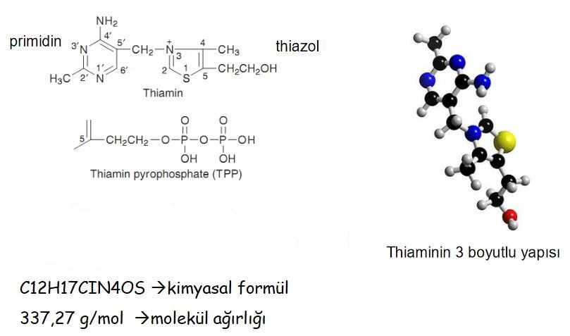 Ad:  vb14.JPG
Gsterim: 3050
Boyut:  41.0 KB