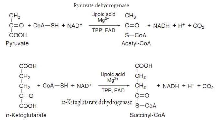 Ad:  vb15.JPG
Gsterim: 2644
Boyut:  35.9 KB