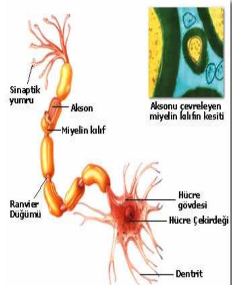 Ad:  vb16.JPG
Gsterim: 2340
Boyut:  41.5 KB