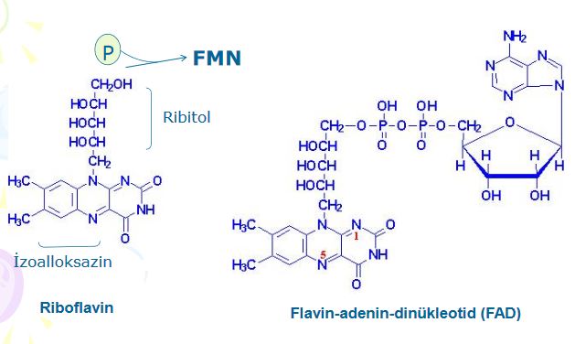 Ad:  b21.JPG
Gsterim: 1528
Boyut:  37.1 KB