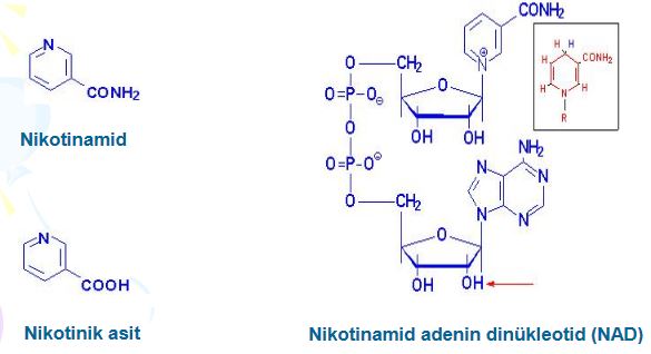 Ad:  b31.JPG
Gsterim: 3075
Boyut:  30.4 KB