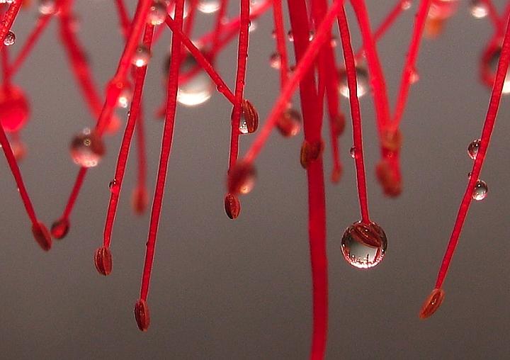 Ad:  bb.jpg
Gsterim: 355
Boyut:  42.4 KB