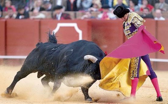 Ad: Boğa güreşi.jpg
Gösterim: 2331
Boyut: 37.9 KB