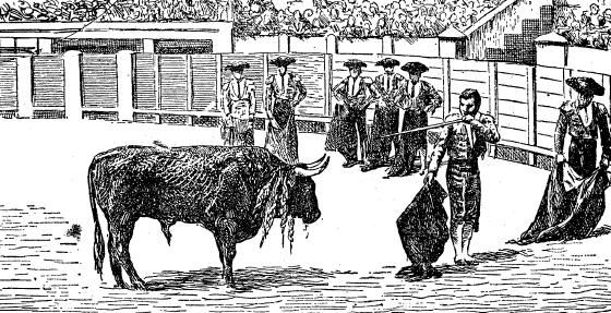 Ad: boga-guresi-3.jpg
Gösterim: 1590
Boyut: 68.4 KB