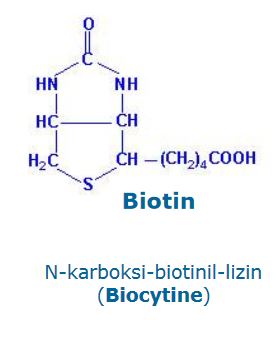 Ad:  biotin1.JPG
Gsterim: 1381
Boyut:  18.1 KB