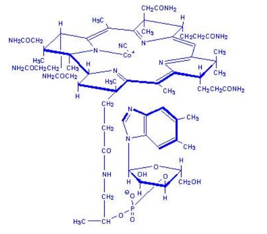 Ad:  b121.JPG
Gsterim: 2961
Boyut:  36.1 KB
