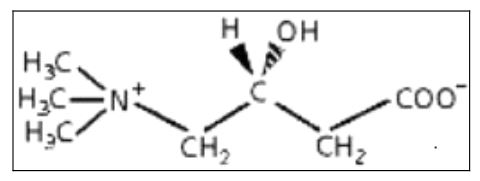 Ad:  elkar1.JPG
Gsterim: 782
Boyut:  17.1 KB