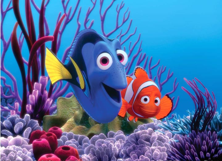 Ad:  finding_nemo_.jpg
Gsterim: 9262
Boyut:  100.3 KB