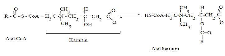 Ad: elkar5.JPG
Gösterim: 1035
Boyut: 22.0 KB