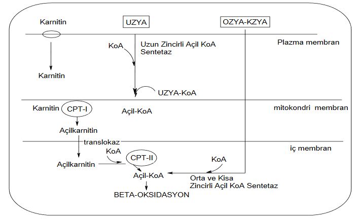Ad: elkar6.JPG
Gösterim: 1812
Boyut: 43.3 KB