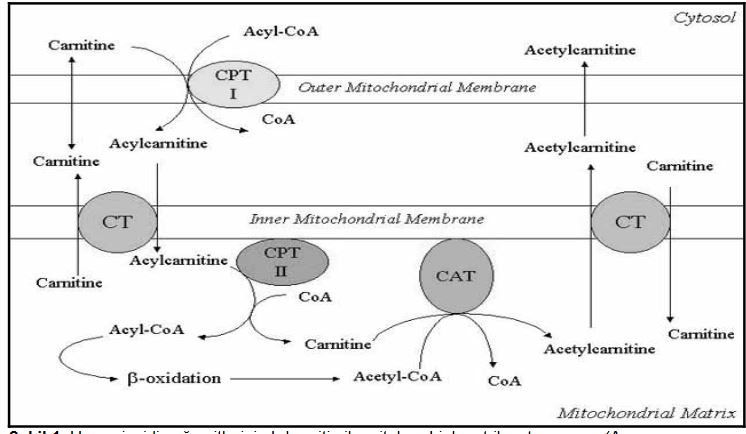 Ad: elkar7.JPG
Gösterim: 1586
Boyut: 50.4 KB