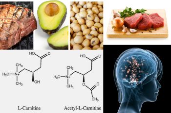 Ad:  carnitin.jpg
Gsterim: 1169
Boyut:  19.1 KB
