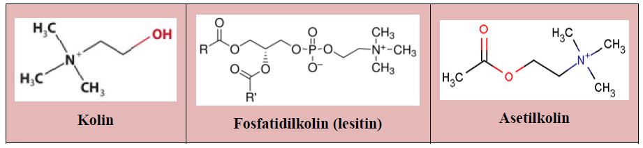 Ad:  kolin1.JPG
Gsterim: 1505
Boyut:  33.6 KB