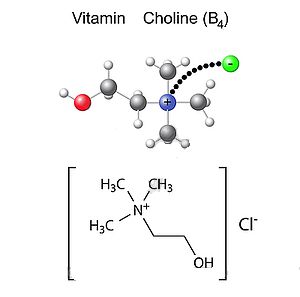 Ad:  cholin.jpg
Gsterim: 1140
Boyut:  9.0 KB