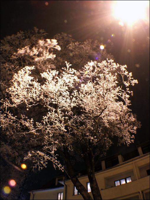 Ad:  dscf5532.jpg
Gsterim: 175
Boyut:  75.5 KB