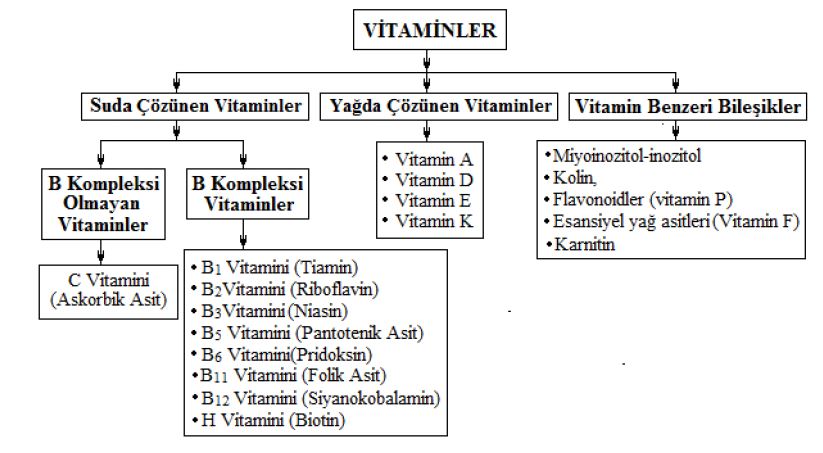49879d1464851528 vitaminler ve beslenmedeki onemi vit4