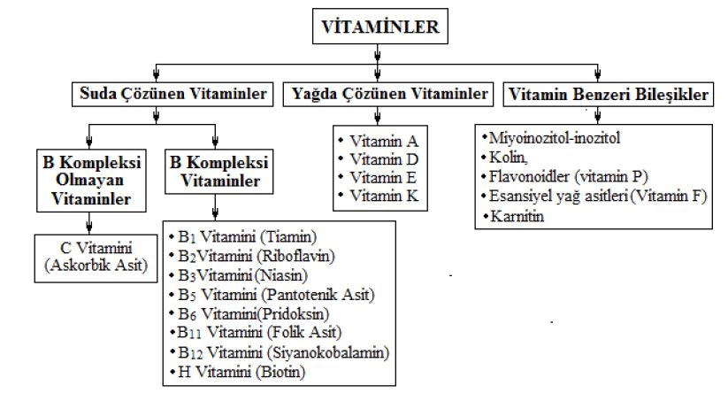 Ad:  vit4.JPG
Gsterim: 13392
Boyut:  67.8 KB