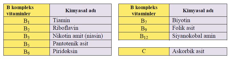 Ad:  vit5.JPG
G�sterim: 2857
Boyut:  43.5 KB