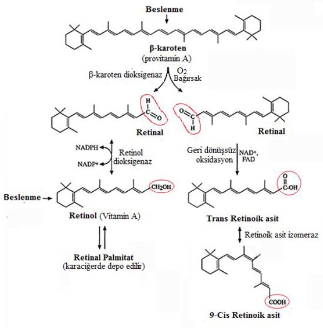Ad:  a2.JPG
Gsterim: 3695
Boyut:  47.1 KB