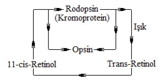 Ad:  a3.JPG
Gsterim: 3348
Boyut:  23.7 KB