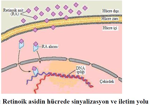 Ad:  a4.JPG
Gsterim: 3218
Boyut:  48.6 KB