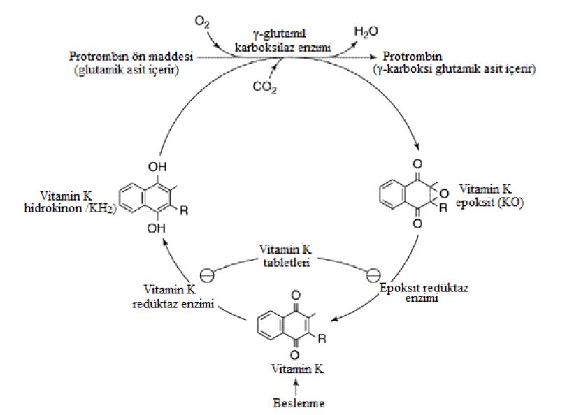 Ad: k3.JPG
Gösterim: 2527
Boyut: 46.0 KB