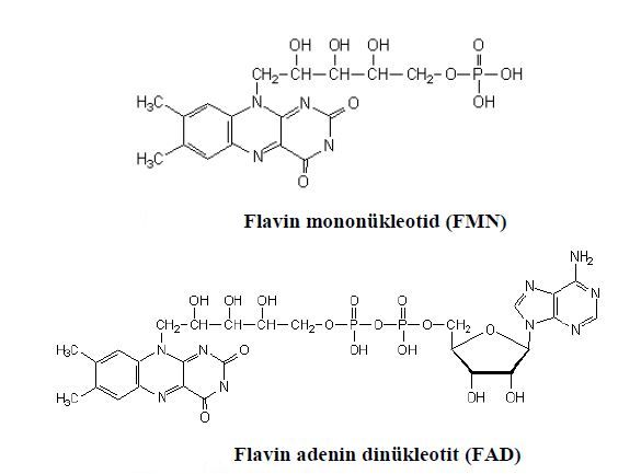 Ad:  b22.JPG
Gsterim: 928
Boyut:  30.9 KB