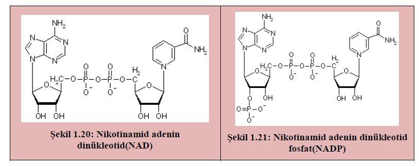 Ad:  b32.JPG
Gsterim: 2161
Boyut:  46.2 KB