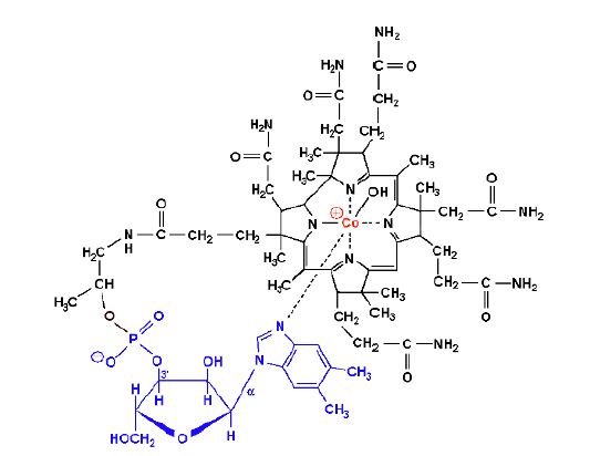 Ad:  b121.JPG
Gsterim: 2825
Boyut:  32.5 KB