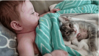 Ad:  babywithcat.gif
Gsterim: 796
Boyut:  1.23 MB