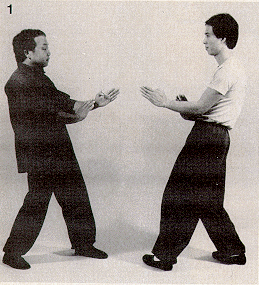 Ad:  Wing Chun-7.gif
Gsterim: 2612
Boyut:  445.3 KB