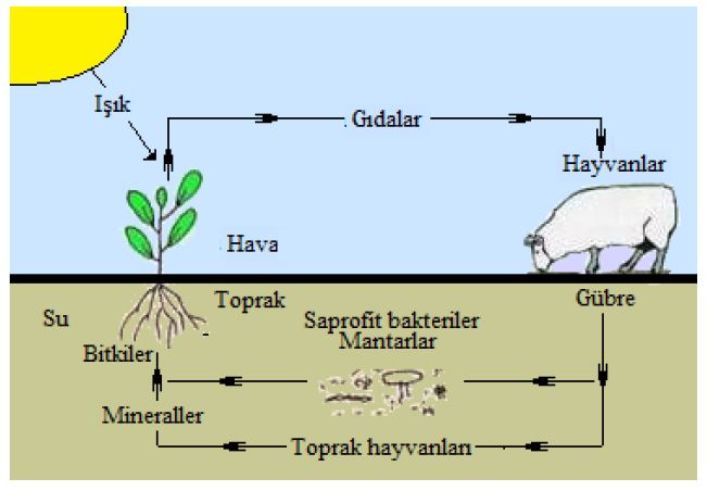 Ad:  min3.JPG
Gsterim: 1020
Boyut:  40.5 KB
