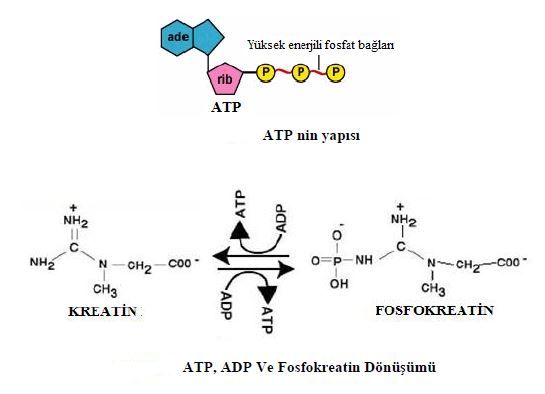 Ad:  min7.JPG
Gsterim: 952
Boyut:  27.0 KB