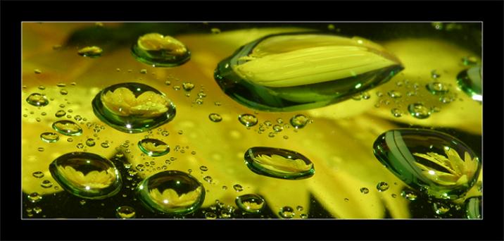 Ad:  img_8162.jpg
Gsterim: 355
Boyut:  39.0 KB