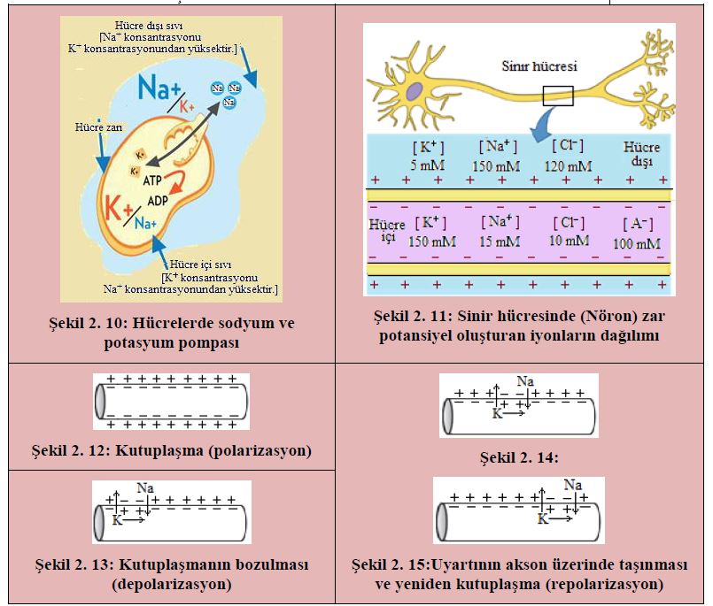 Ad:  min11.JPG
Gsterim: 823
Boyut:  105.4 KB