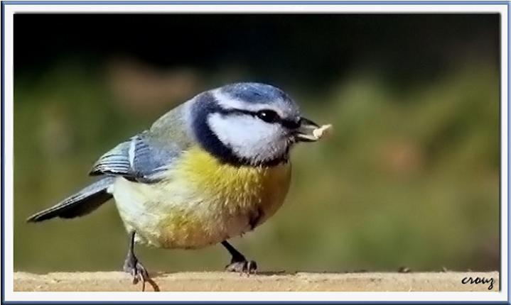 Ad:  pict4352.jpg
Gsterim: 260
Boyut:  32.3 KB