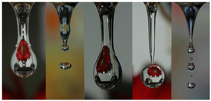 Ad:  kolajwebtrek1.jpg
Gsterim: 309
Boyut:  29.3 KB