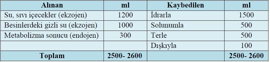 Al�nt�daki Ek 50085