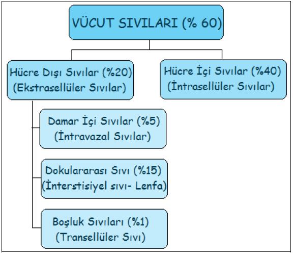 Ad:  kan2.JPG
Gsterim: 2253
Boyut:  50.1 KB